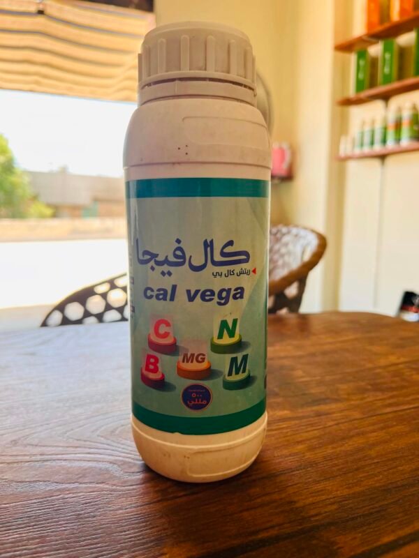 كال فيجا