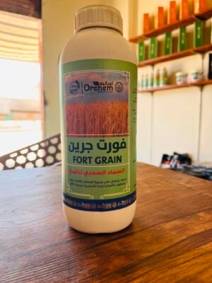 فورت جرين